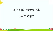 2020新科学【苏教版】三年级下册1《种子发芽了》PPT课件（共24页）