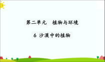 2020新科学【苏教版】三年级下册6《沙漠中的植物》PPT课件（共29页）