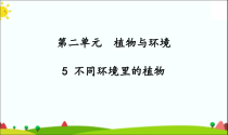 2020新科学【苏教版】三年级下册第二单元PPT课件（共117页）