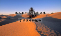 科学【苏教版】三年级下册《沙漠中的植物》PPT课件