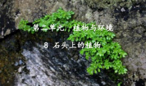 科学【苏教版】三年级下册《石头上的植物》PPT课件