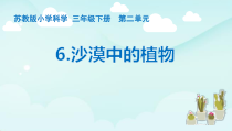 新科学【苏教版】三年级下册第二单元《沙漠中的植物》优秀PPT课件