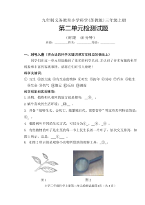 科学【苏教版】三年级上册第二单元试题带答案 
