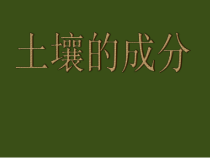 科学【苏教版】三年级上册4《土壤的成分》PPT课件(共12页)(1)