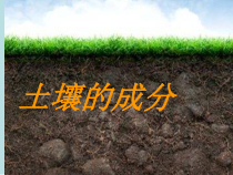 科学【苏教版】三年级上册4《土壤的成分》PPT课件(共18页)(2)