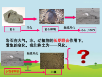 科学【苏教版】三年级上册4《土壤的成分》PPT课件(共14页)