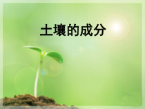 科学【苏教版】三年级上册4《土壤的成分》PPT课件(共17页)