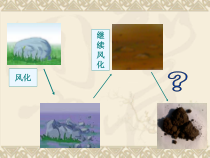 科学【苏教版】三年级上册4《土壤的成分》PPT课件(共19页)