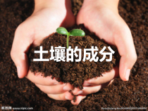 科学【苏教版】三年级上册4《土壤的成分》PPT课件(共22页)