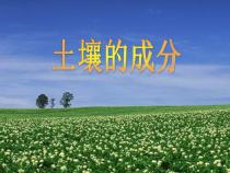 科学【苏教版】三年级上册4《土壤的成分》PPT课件(共36页）