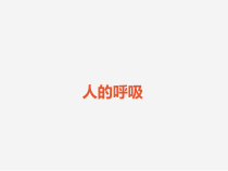 科学【苏教版】三年级上册16《人的呼吸》PPT课件(共13页）