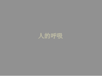 科学【苏教版】三年级上册16《人的呼吸》PPT课件(共17页）