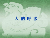 科学【苏教版】三年级上册16《人的呼吸》PPT课件(共31页）