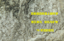 新科学【苏教版】四年级上册第五单元《岩石与矿物》PPT课件