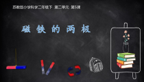 科学【苏教版】二年级下册第5课《磁铁的两极》PPT课件