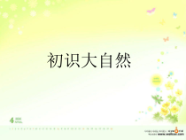 科学【湘科版】小学一年级上册第二单元《1.初识大自然》PPT课件3