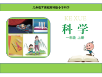科学【湘科版】小学一年级上册第二单元《3.大自然中的发现》PPT课件1