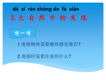 科学【湘科版】小学一年级上册第二单元《3.大自然中的发现》PPT课件2
