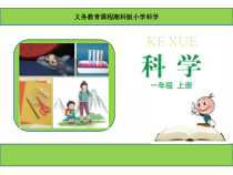 科学【湘科版】小学一年级上册第一单元《2.找物体的相同和不同》PPT课件2