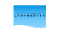 科学【湘科版】小学一年级上册第一单元《2.找物体的相同与不同》PPT课件1