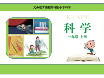 科学【湘科版】小学一年级上册第一单元《4.让我们发现更多》PPT课件1