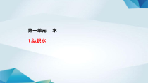 科学【湘科版】一年级下册1《认识水》PPT课件（共13页）