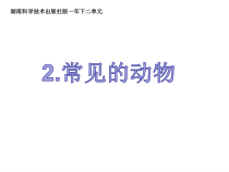 科学【湘科版】一年级下册3.1《常见的动物》PPT课件（共21页） (2)