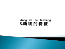 科学【湘科版】一年级下册3.3《动物的特征》PPT课件（共30页）