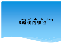 科学【湘科版】一年级下册3.3《动物的特征》PPT课件（共41页）