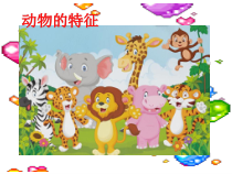 科学【湘科版】一年级下册3.3《动物的特征》PPT课件4（共14页）