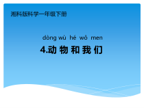 科学【湘科版】一年级下册3.4《动物和我们》PPT课件（共14页）