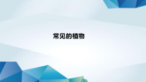 科学【湘科版】一年级下册4.1《常见的植物》PPT课件（共41页）