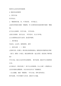 科学【湘科版】一年级下册4.2《观察身边的植物》教学设计5