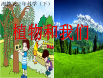 科学【湘科版】一年级下册4.3《植物和我们》PPT课件（共23页）