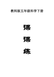 小学科学教科版五年级下册全册课课练习题（2023春）（附参考答案）