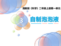 科学【湘科版】二上3《自制泡泡液》PPT课件3