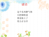 教科版科学二年级下册《有趣的磁铁》PPT课件（共24页）
