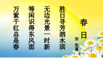 科学【湘科版】二年级下册2.1《植物角》PPT课件4（共13页）