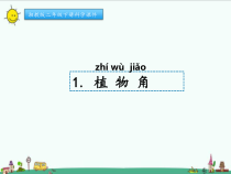 科学【湘科版】二年级下册2.1《植物角》PPT课件3（共11页）