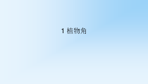 科学【湘科版】二年级下册2.1《植物角》PPT课件4（共12页）