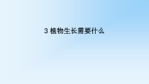 科学【湘科版】二年级下册2.3《植物生长需要什么》PPT课件4（共13页）.