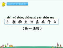 科学【湘科版】二年级下册2.3《植物生长需要什么》PPT课件3（共18页）