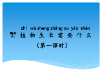 科学【湘科版】二年级下册2.3《植物生长需要什么》PPT课件5（共17页）.