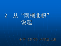科学【湘科版】六上《从“南橘北枳”说起》PPT课件 (2)