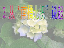 科学【湘科版】六上《从“南橘北枳”说起》PPT课件 (6)