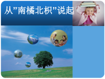 科学【湘科版】六上《从“南橘北枳”说起》PPT课件（1）
