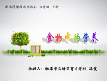 科学【湘科版】六上《食物中的营养》PPT课件 (3)