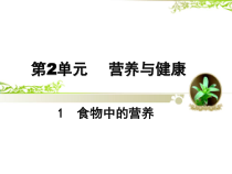 科学【湘科版】六上《食物中的营养》PPT课件 (3)
