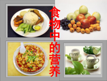 科学【湘科版】六上《食物中的营养》PPT课件 (4)