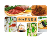 科学【湘科版】六上《食物中的营养》PPT课件 (5)